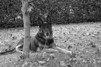 IMG_8497_BW