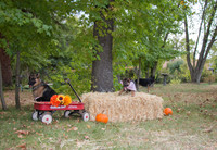 IMG_8716_e