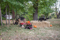 IMG_8725_e