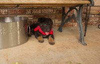 IMG_0447_e