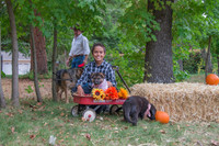 IMG_8733_e