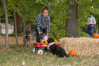IMG_8732_e